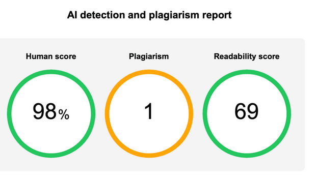 AI Plagiarism Report